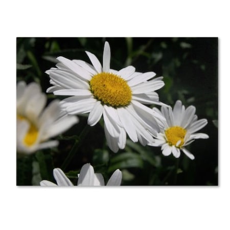 Trademark Fine Art Monica Fleet 'Dominating Beauty' Canvas Art, 18x24 MF066-C1824GG